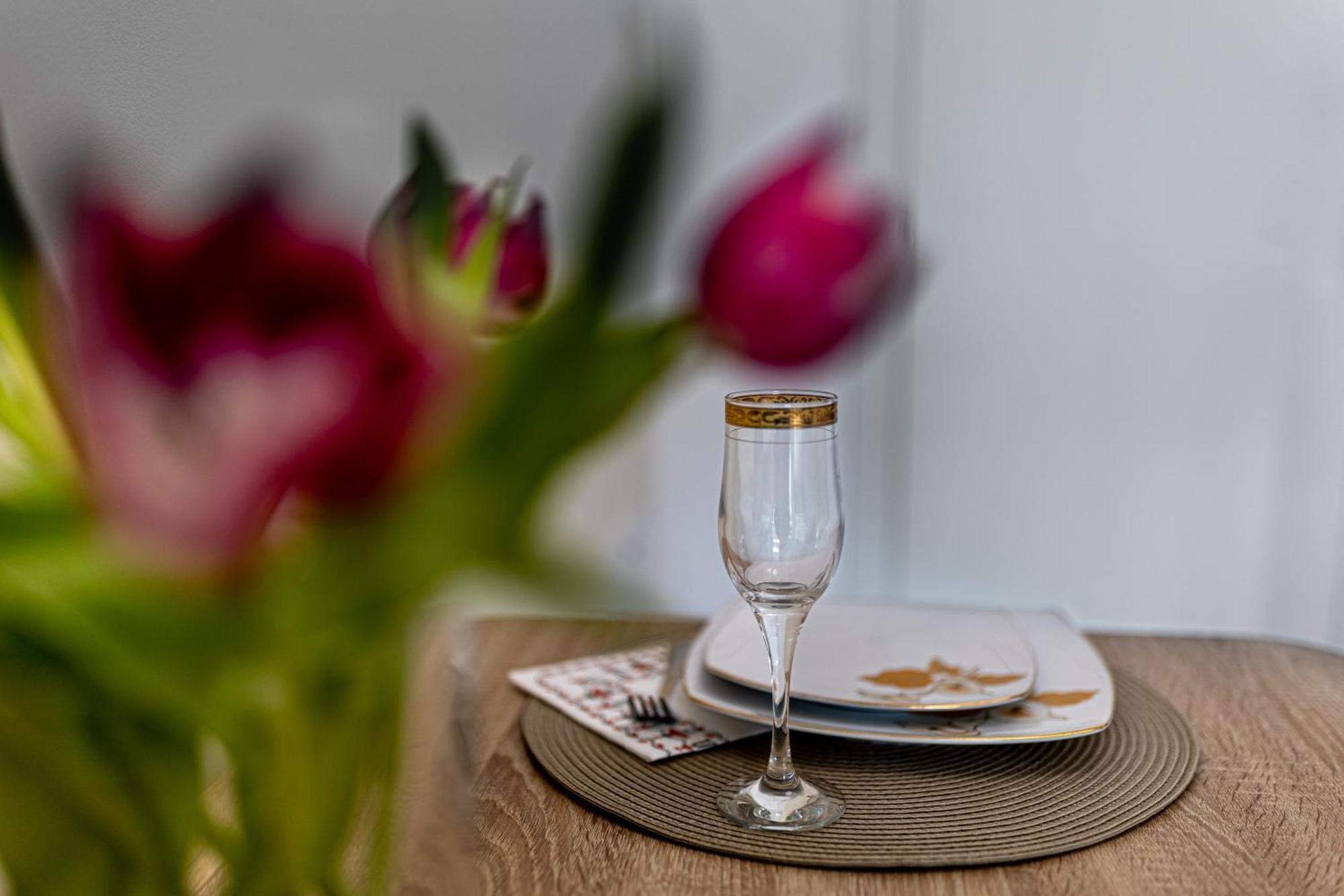 Felicia Free Parking Apartment Iasi